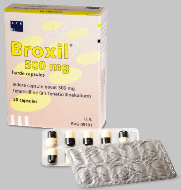 Broxil/Feneticilline 500mg - 20 capsules